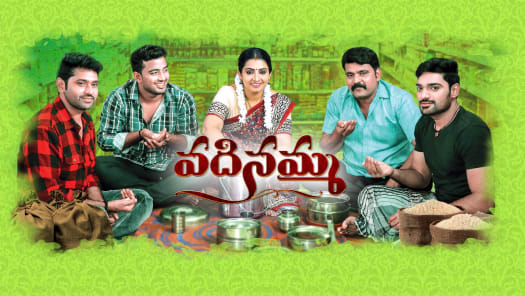 Vadinamma Disney Hotstar These tv serials are very popular among the telugu audience. vadinamma disney hotstar