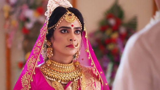 Star jalsha vaggo sale lokkhi