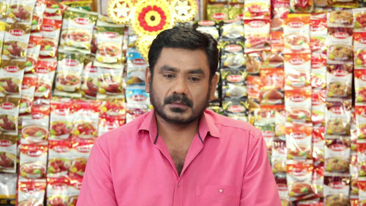 Pandian Stores 2 Disney Hotstar