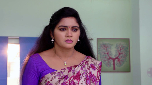 Chelleli kapuram serial today full episode online