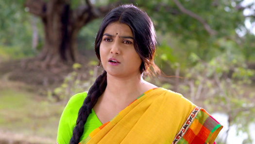 Kora pakhi all episode outlet