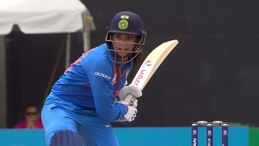 Hindi hot star cricket online