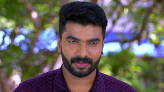 Seetha kalyanam store on hotstar
