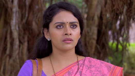 Seetha Kalyanam Disney Hotstar