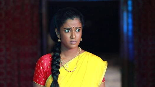 Barathi Kannamma 2 Full Episode Watch Barathi Kannamma 2 TV Show