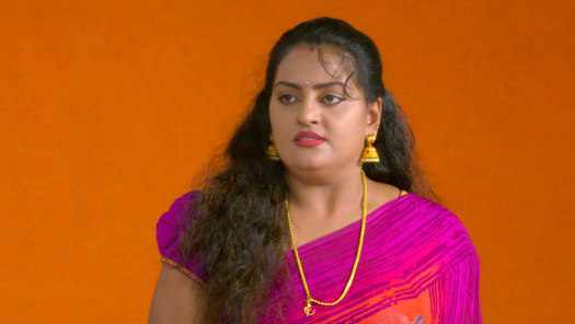 Vanambadi serial watch shop online free
