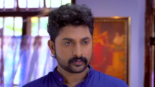 Seetha kalyanam on 2025 hotstar