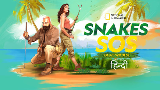 Total dhamaal sales online hotstar