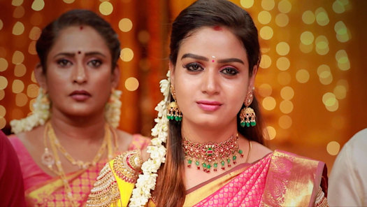 Raja rani serial full new arrivals episodes in tamil hotstar