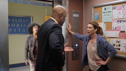 Watch Grey s Anatomy Season 13 Full Episodes on Disney Hotstar