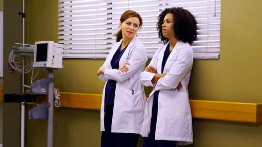 Grey's anatomy season sale 13 stream online free