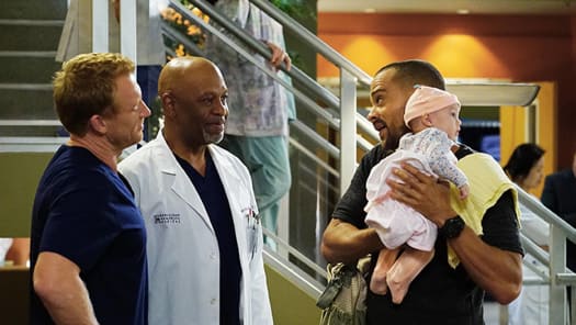 Watch Grey s Anatomy Season 13 Full Episodes on Disney Hotstar