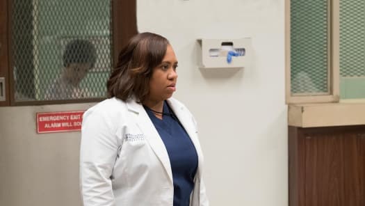 Greys anatomy season 13 online free store