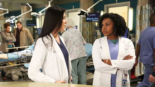 Grey's anatomy season 13 episode 15 watch online top