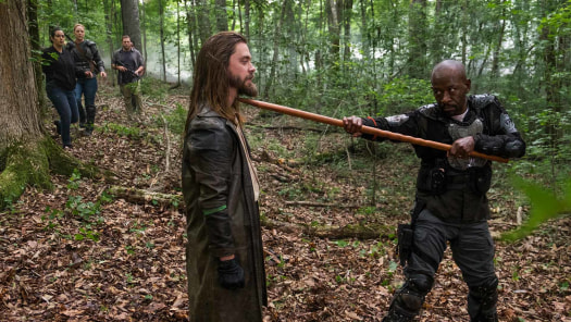 Streaming the walking dead season best sale 8