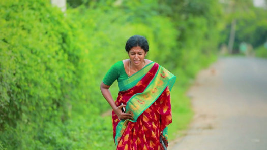 Barathi Kannamma 2 Disney Hotstar