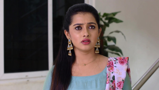 Watch Kasthuri All Latest Episodes On Disney Hotstar Qoşulma tarixi 12 iyl 2013. watch kasthuri all latest episodes on