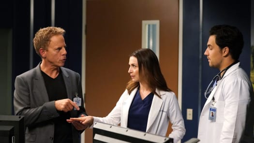 Watch greys anatomy season 14 online outlet for free