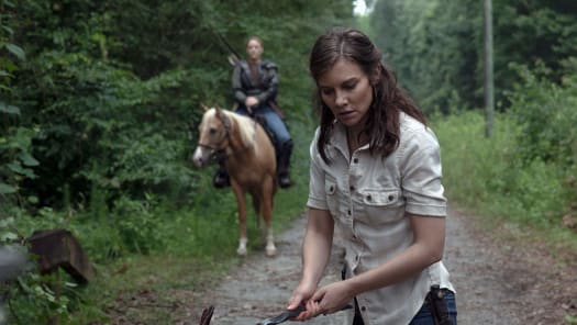Stream The Walking Dead Season 9