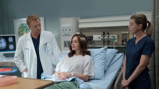Stream Grey s Anatomy Season 14