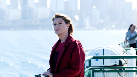 Stream Grey s Anatomy Season 14