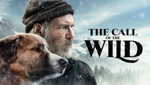 Into the wild movie download in hindi best sale