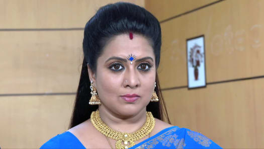Seetha Kalyanam Disney Hotstar