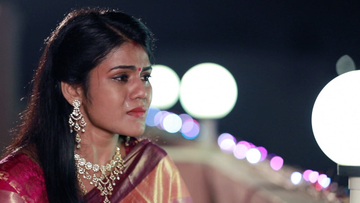 Watch Raja Rani 2 Season 2 Full Episodes On Disney Hotstar Now she will once again maintain. watch raja rani 2 season 2 full