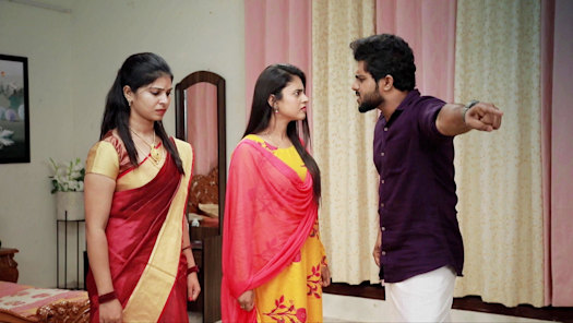 Raja rani serial full new arrivals episodes in tamil hotstar