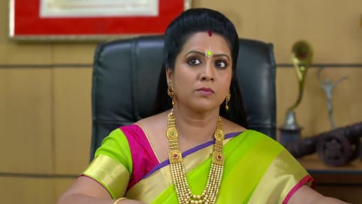 Seetha kalyanam on hotstar online