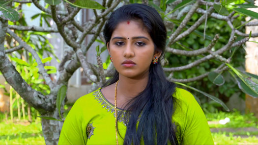Watch Paadatha Painkili Season 1 Episode 71 On Hotstar Premium Neeyum njanum episode review january 18 2021. hotstar
