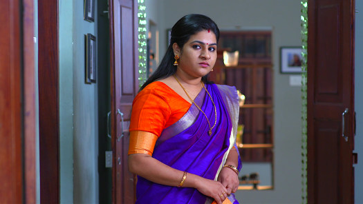 Santhwanam Watch Episode 107 Jayanthi Visits Anjali On Disney Hotstar Get the list of santhanam's upcoming movies for 2021 and 2022. jayanthi visits anjali on disney hotstar