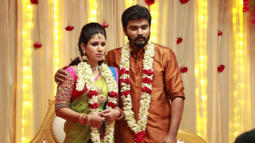 Raja rani serial shop last episode in hotstar