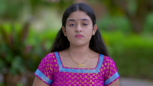 Vanambadi Disney Hotstar