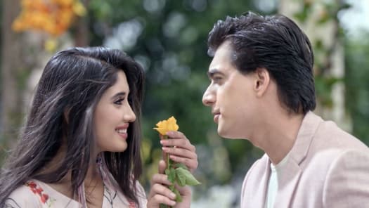 Star Parivaar Awards Full Episode Watch Star Parivaar Awards Tv Show Online On Hotstar Us The jury included farah khan, goldie behl, and omung kumar. star parivaar awards full episode