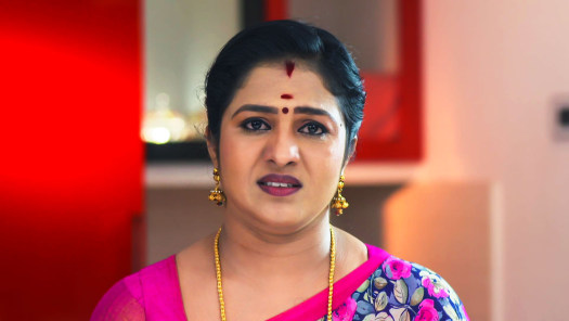 Watch Vanambadi Season 2 Full Episodes on Hotstar