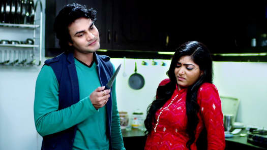 Watch Suhani Si Ek Ladki Season 29 Full Episodes on Disney Hotstar
