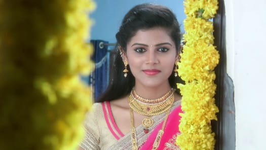 Karthika deepam serial hotstar today episode sales