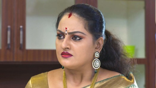 Watch Vanambadi Season 2 Full Episodes on Hotstar