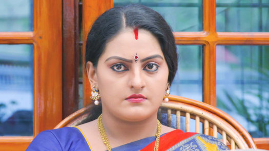 Vanambadi serial watch shop online free