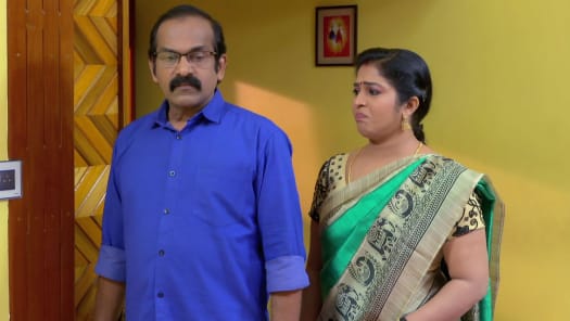 Watch Deivam Thandha Veedu Season 12 Full Episodes on Disney Hotstar