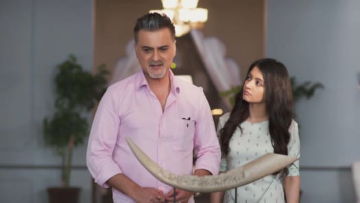 Dil sambhal ja zara serial episode 1 best sale