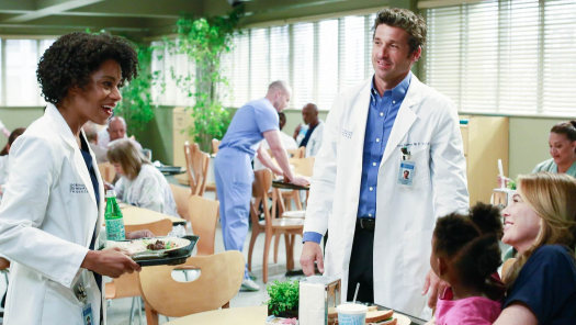 Watch Grey s Anatomy Season 11 Full Episodes on Disney Hotstar