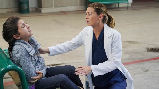 Watch Grey s Anatomy Season 11 Full Episodes on Disney Hotstar