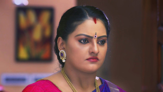 Watch Vanambadi Season 2 Full Episodes on Hotstar
