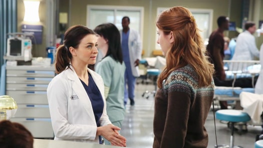 Watch Grey s Anatomy Season 11 Full Episodes on Disney Hotstar