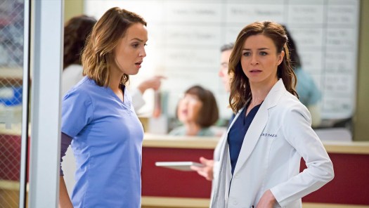 Watch Grey s Anatomy Season 12 Full Episodes on Disney Hotstar