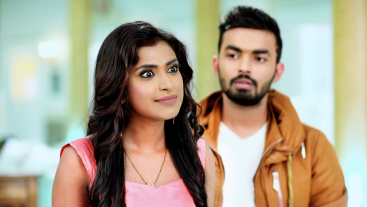 Watch Suhani Si Ek Ladki Season 31 Full Episodes on Hotstar