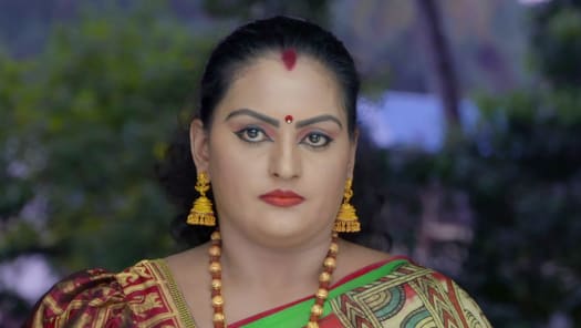 Vanambadi serial 2025 watch online free