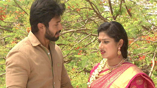 Raja rani serial shop last episode in hotstar